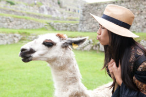 Read more about the article That Time I Took 2000+ Photos: My Road Trip Through Peru