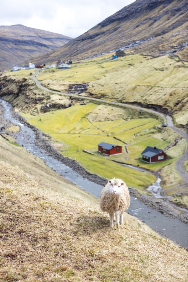 Faroe_Islands_Christine_Chang_02